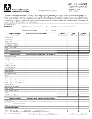 Cash Flow Statement - Muhlenkamp Library