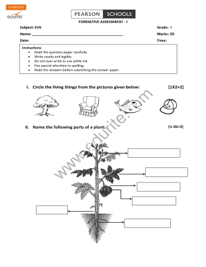 Form preview picture