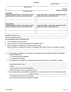 Ontario Divorce Affidavit Form 36