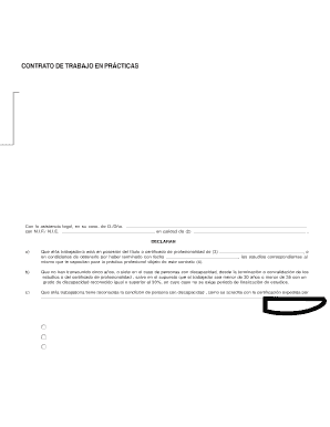 Spanish Employment Practices Contract