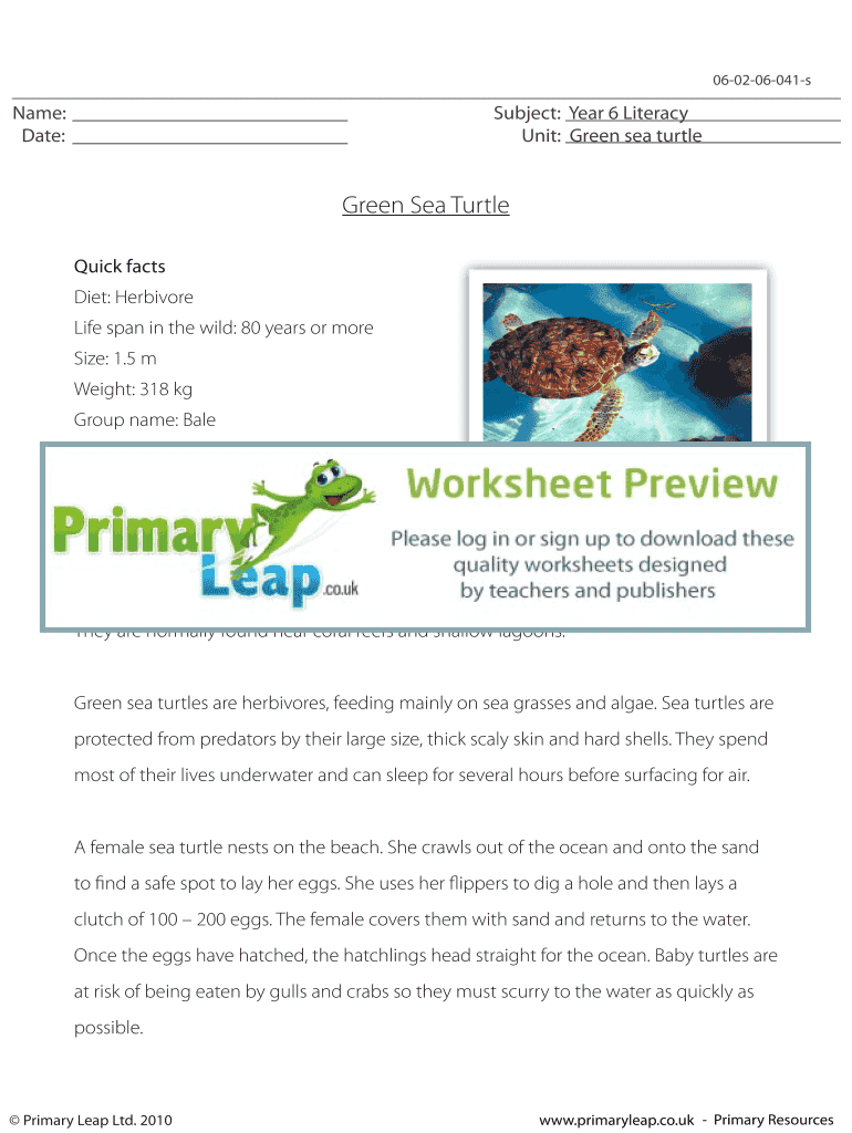 Form preview