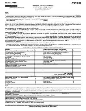 Wisconsin Individual Financial Statement