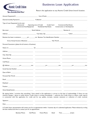 Business Loan Application Form