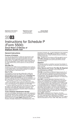 Schedule P Form 5500 Instructions