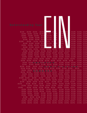 IRS Employer Identification Number Guide
