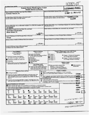 Chapter 11 Bankruptcy Petition