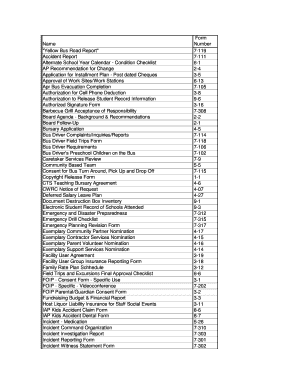 School Bus Accident Report