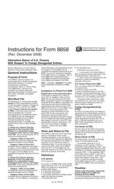 Form 8858 Instructions