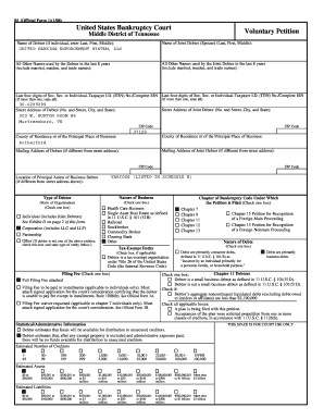 Voluntary Petition for Bankruptcy