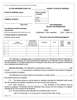 Georgia Felony Sentence With Probation Form