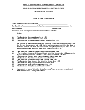 Scheduled Caste Tribe Certificate Form