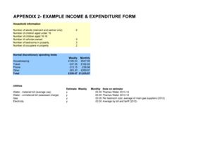 Income and Expenditure Form