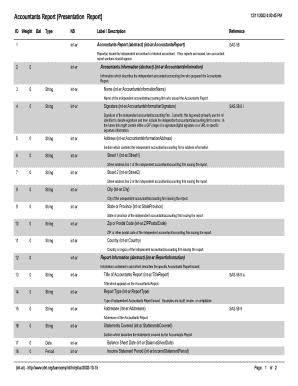 Accountants Report Template