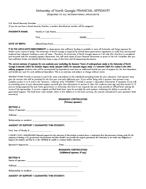 University of North Georgia Financial Affidavit