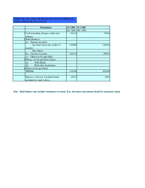 Cash and Bank Balance Schedule