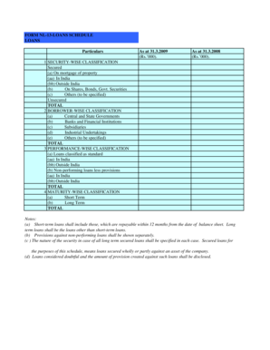 Form NL-13 Loans Schedule
