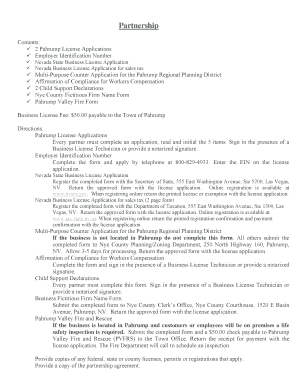 Nevada Business License Application