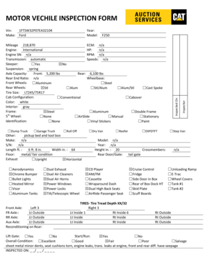 Motor Vehicle Inspection Form