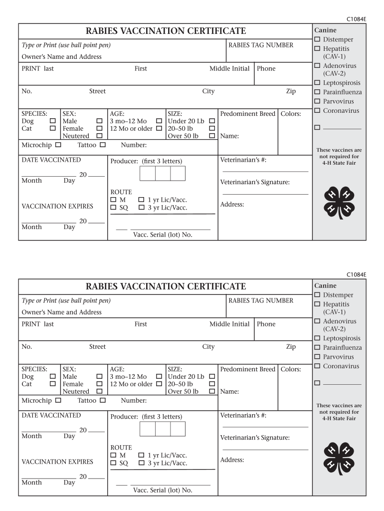canine rabies vaccine For Dog Vaccination Certificate Template