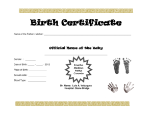 Birth Certificate Form