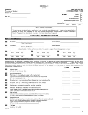 2014 Child support determination Form (revised from 2009 version ...