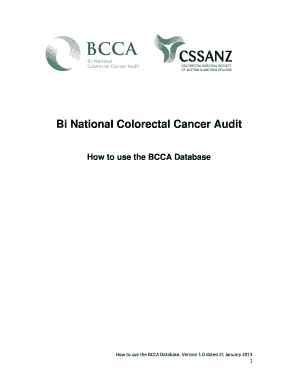 Audit report template - The Bi-National Colorectal Cancer Audit Report - bcca registry org