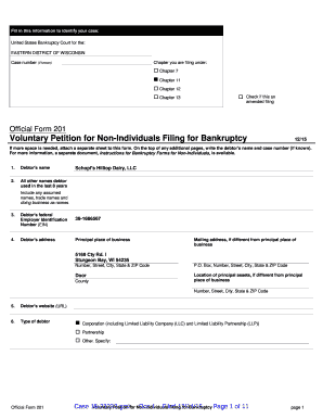 Chapter 7 bankruptcy forms packet - schopf's hilltop dairy