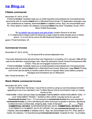 Society audit report format in excel - Blank bfillable commercial invoiceb