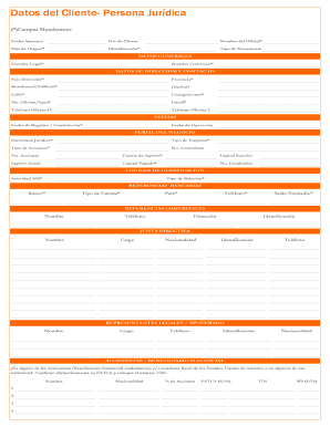 Client Data Form for Legal Entities