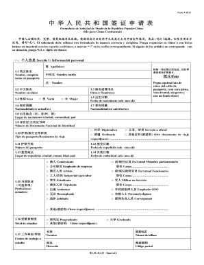 China Visa Application Form