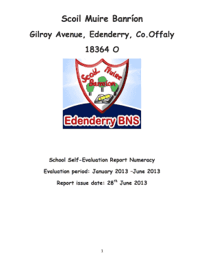 School Self Evaluation Report Numeracy - Scoil Muire Banr on ... - edenderrybns