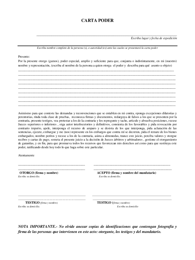 carta poder mexico Preview on Page 1
