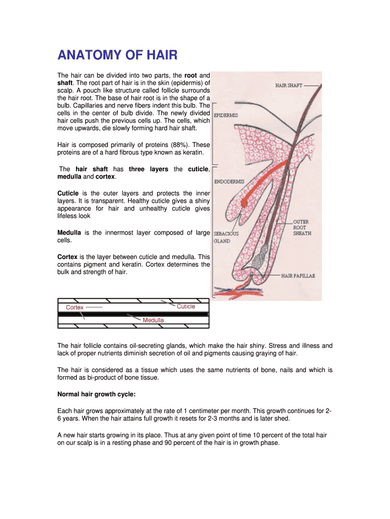 Fillable Online ANATOMY OF HAIR Fax Email Print - pdfFiller