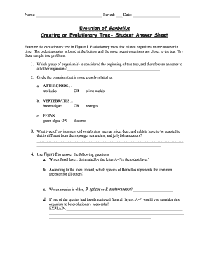 evolution of barbellus