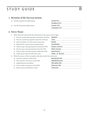 Anatomy and Physiology Study Guide