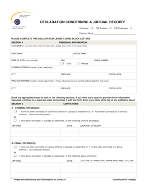 Declaration Concerning a Judicial Record