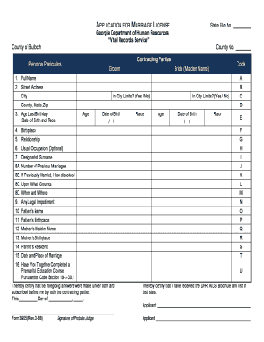 Georgia Marriage License Application