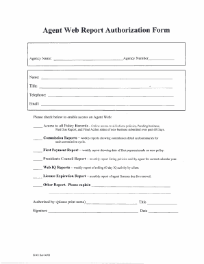 Agent Web Report Authorization Form