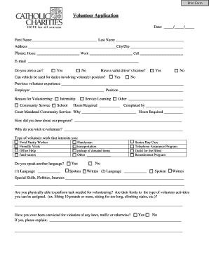 Volunteer Application Form