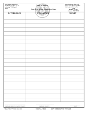 Texas State Well Report Form