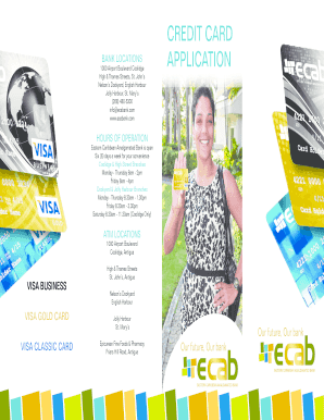 Visa Credit Card Application