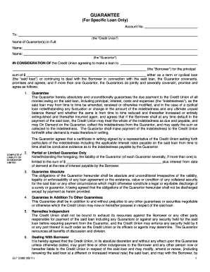 Loan Guarantee Agreement