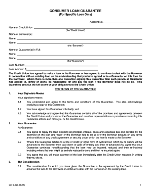 Consumer Loan Guarantee Form
