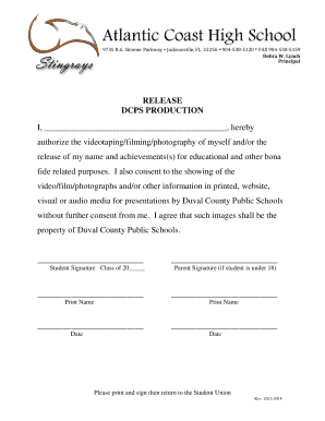 Permission release and consent form - duval county fillable forms