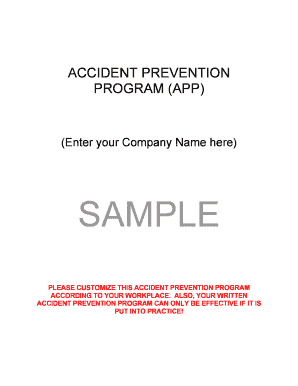 Accident Prevention Program Template