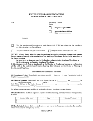 Chapter 13 Bankruptcy Plan
