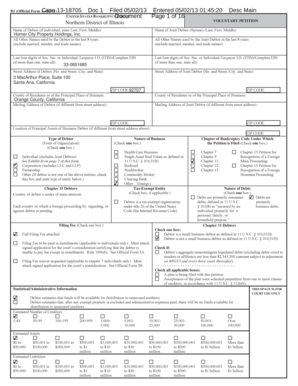 Voluntary Bankruptcy Petition