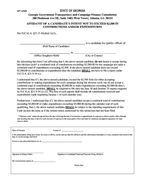 Georgia Affidavit of Candidate's Intent