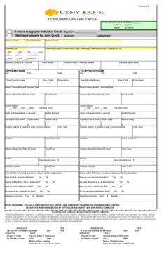 Consumer Loan Application