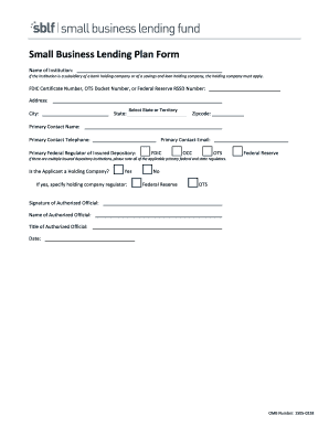 Small Business Lending Plan Form